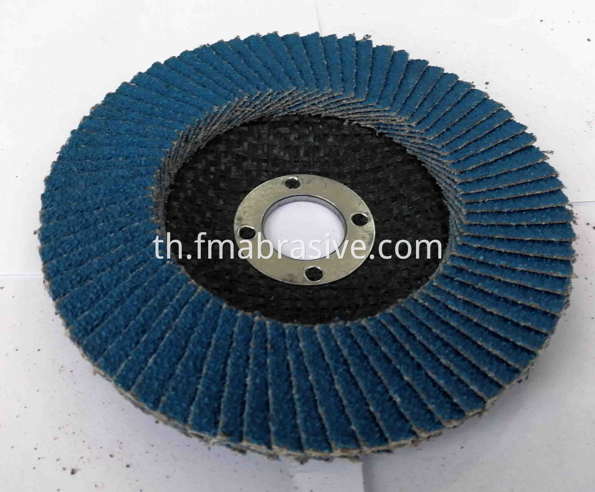 Flap Disc